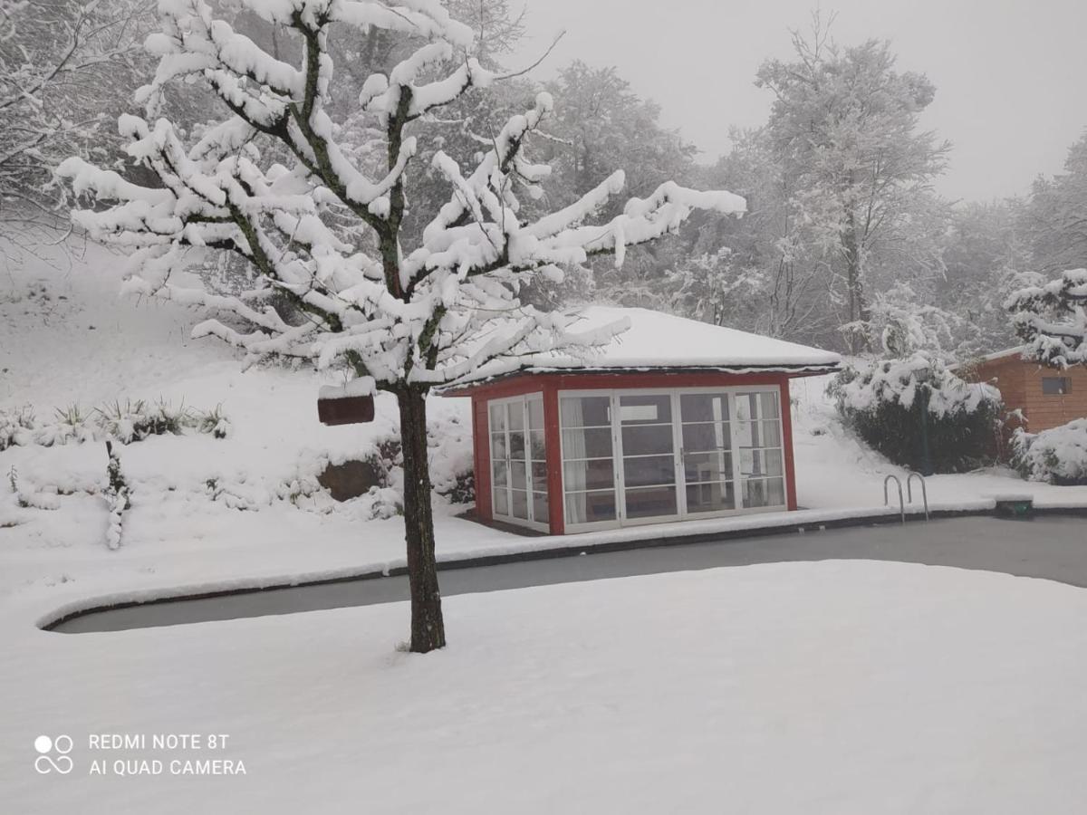 Paradies 1 Döttingen Εξωτερικό φωτογραφία