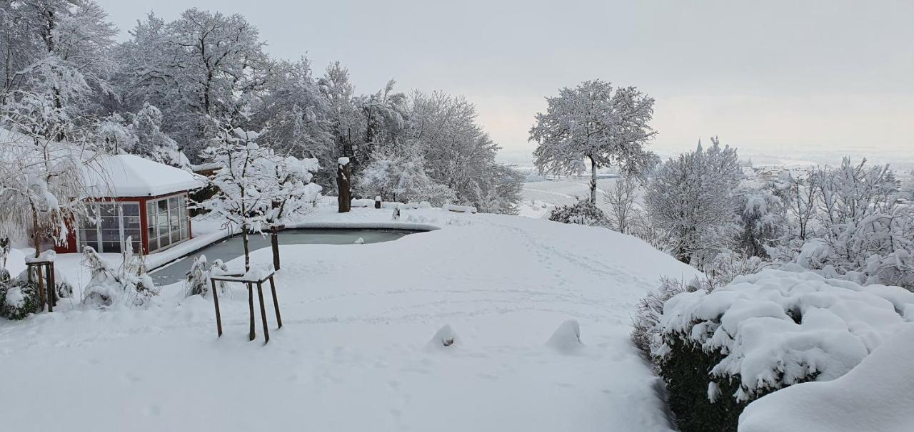Paradies 1 Döttingen Εξωτερικό φωτογραφία