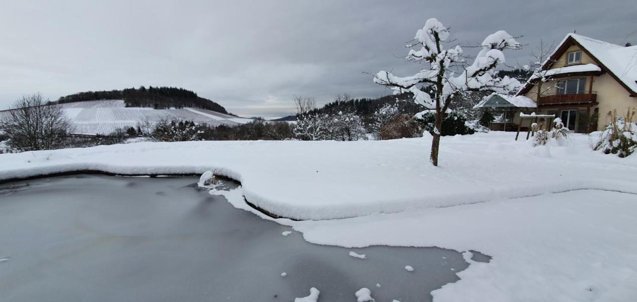 Paradies 1 Döttingen Εξωτερικό φωτογραφία