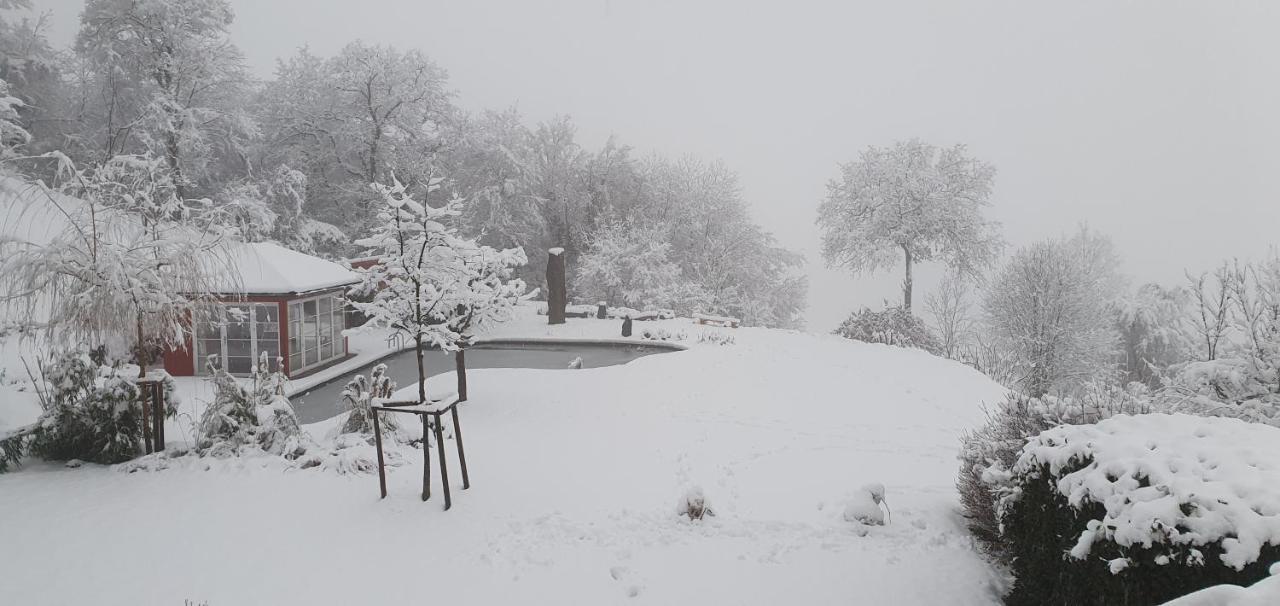 Paradies 1 Döttingen Εξωτερικό φωτογραφία