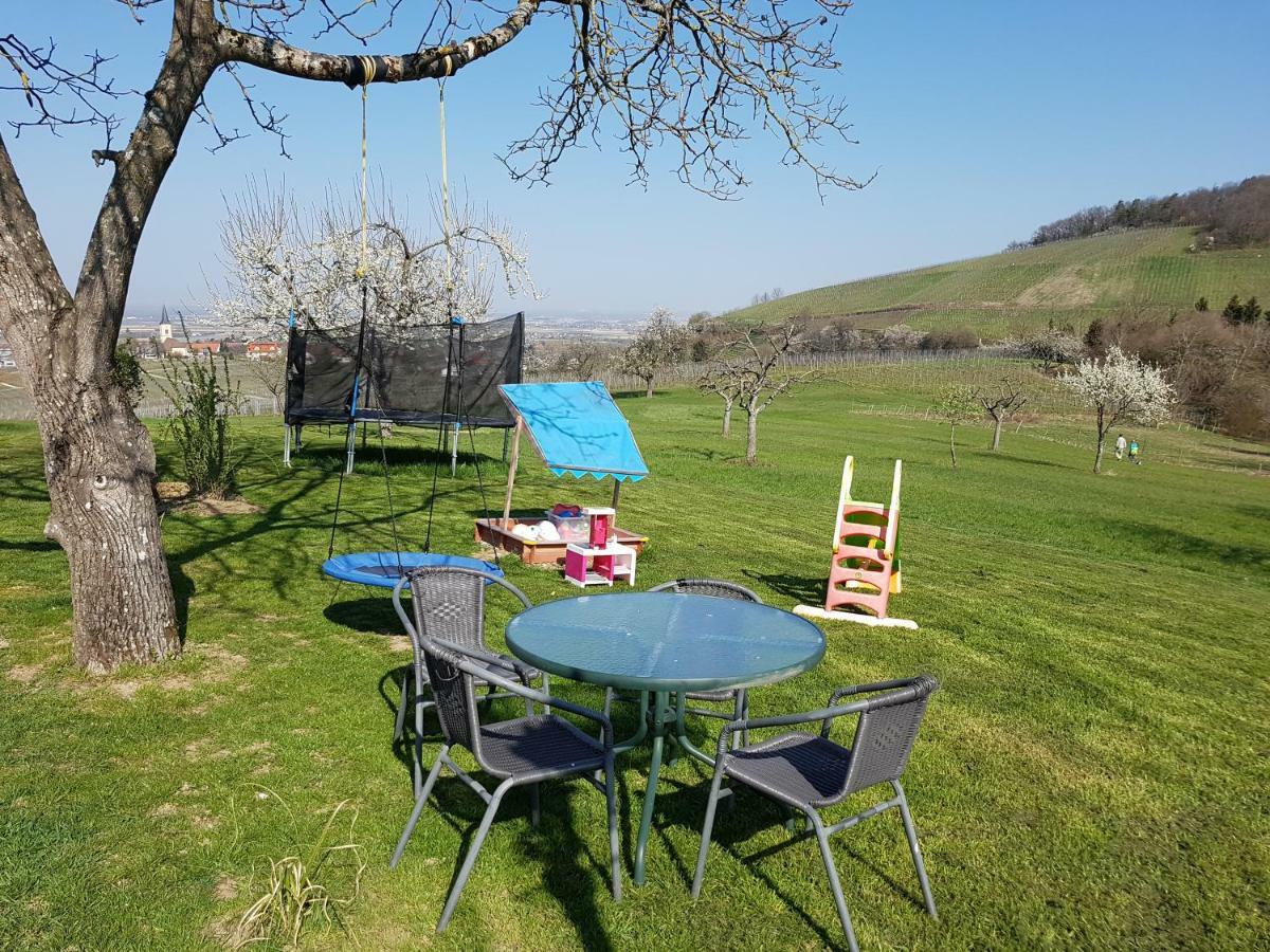 Paradies 1 Döttingen Εξωτερικό φωτογραφία