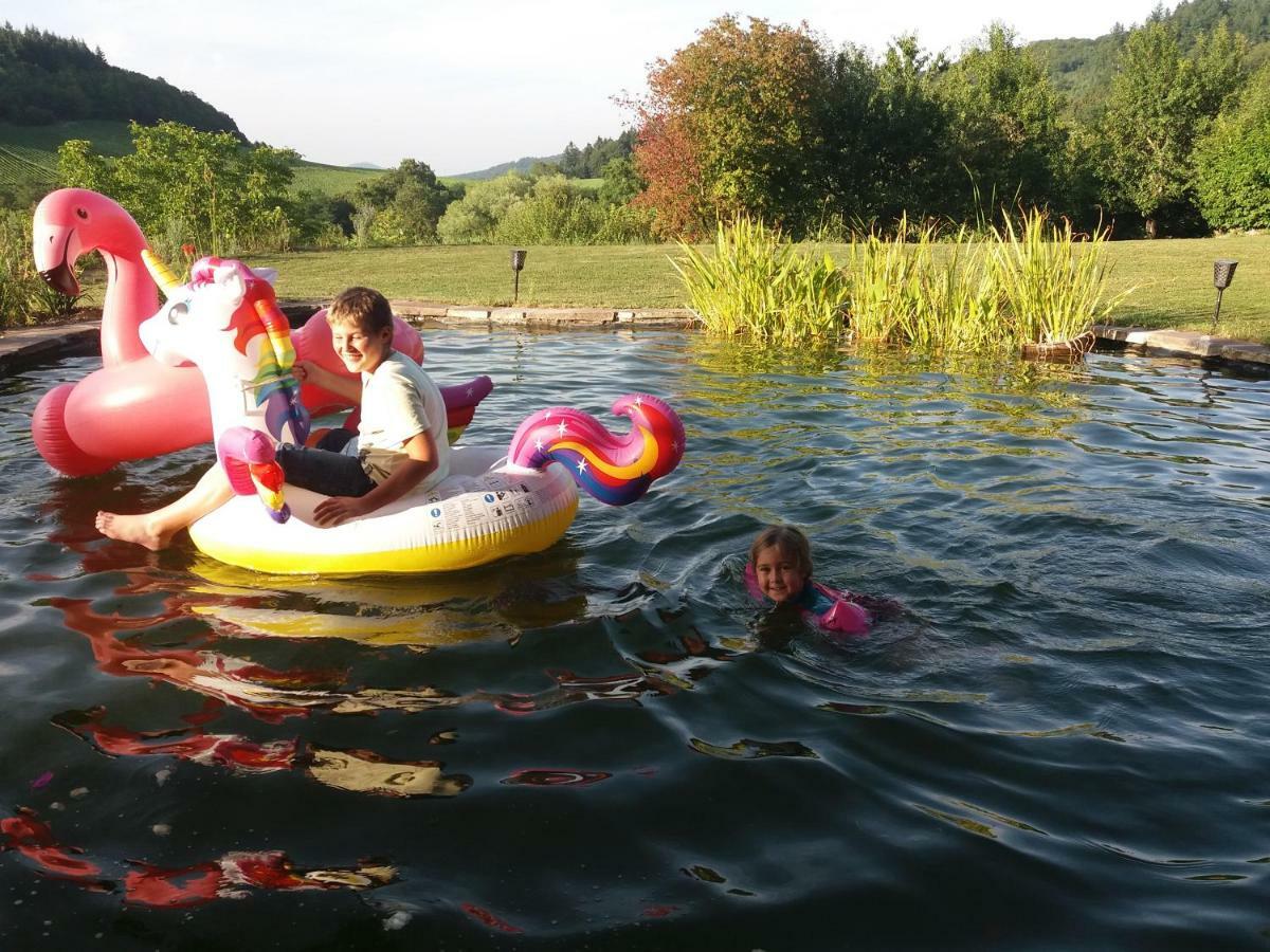 Paradies 1 Döttingen Εξωτερικό φωτογραφία